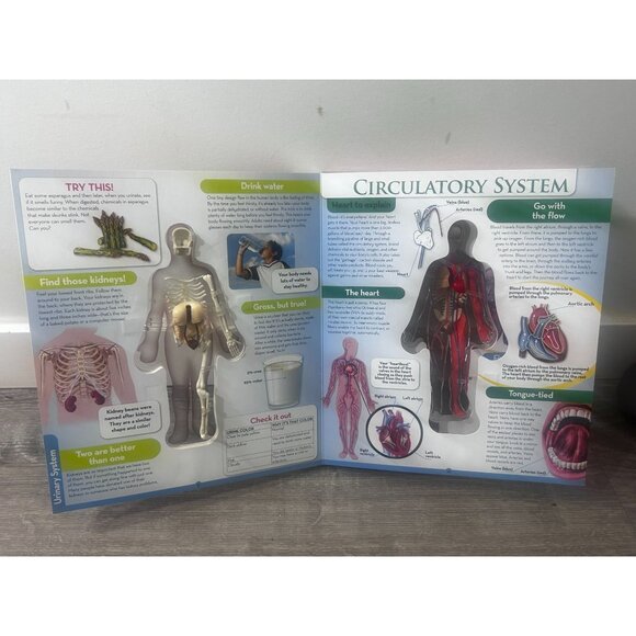 Uncover The Human Body 3D Board Book By Luann Colombo Hardcover 2002 - Picture 5 of 5